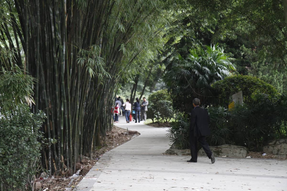 node.js 里 ESM 与 CommonJS 的区别