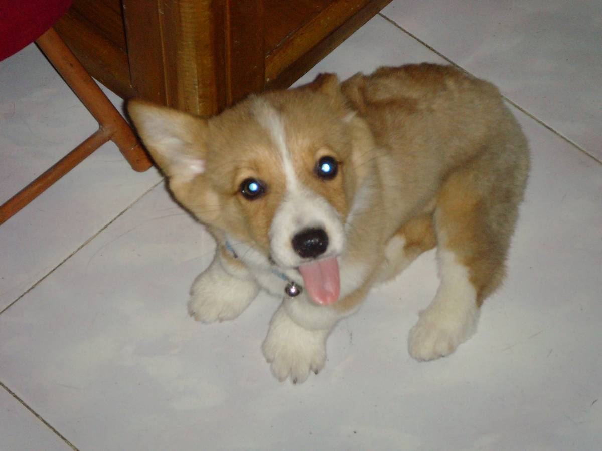 中年男人找工作有感