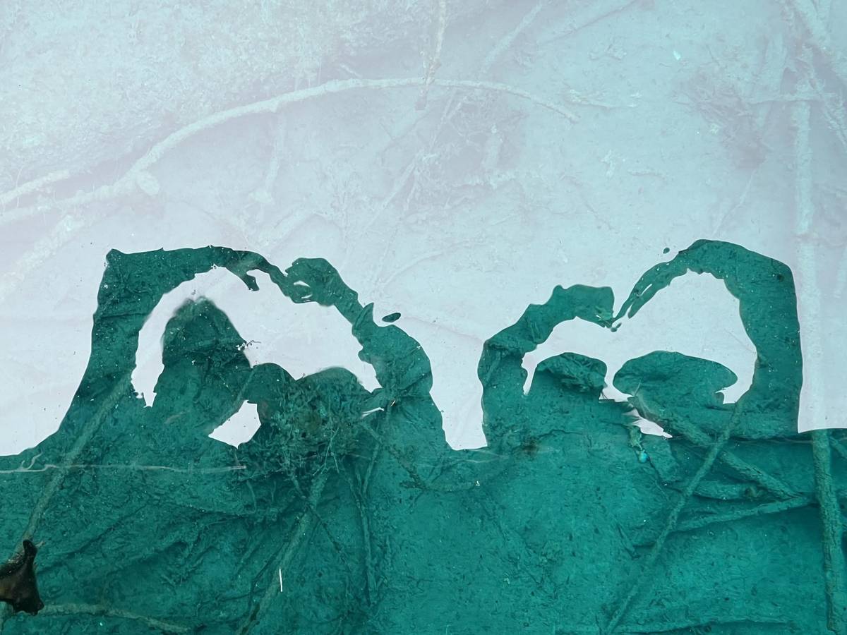 应用创意：用药助手