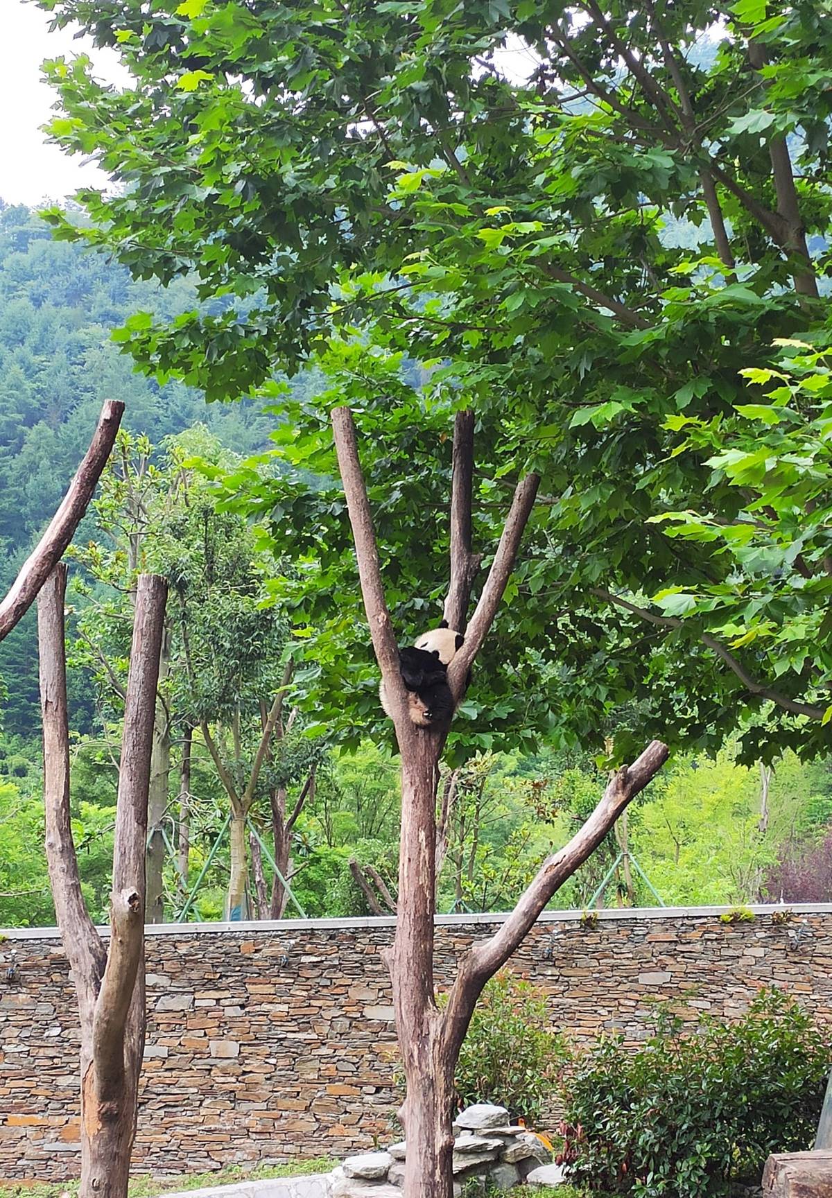 远程工作面面谈（1）：远程工作的类型