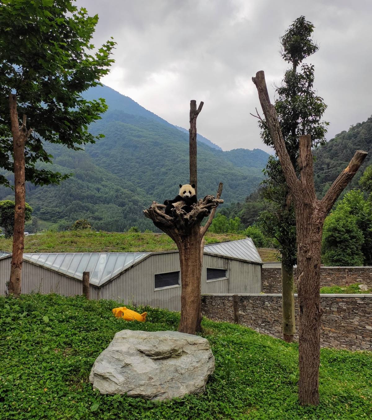 E2E 测试用例的一般要求