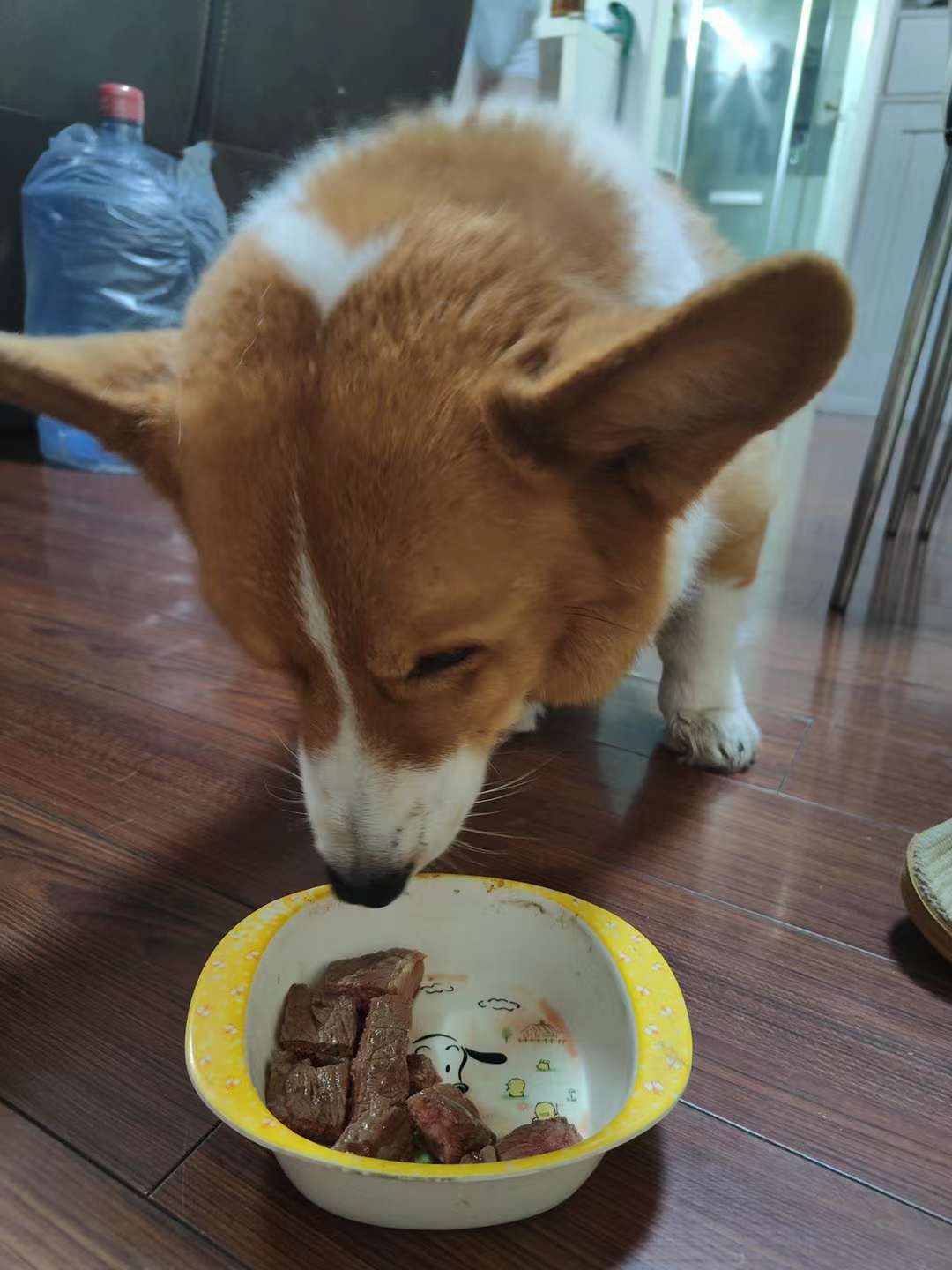 鸣谢各位老板舰长赞助商