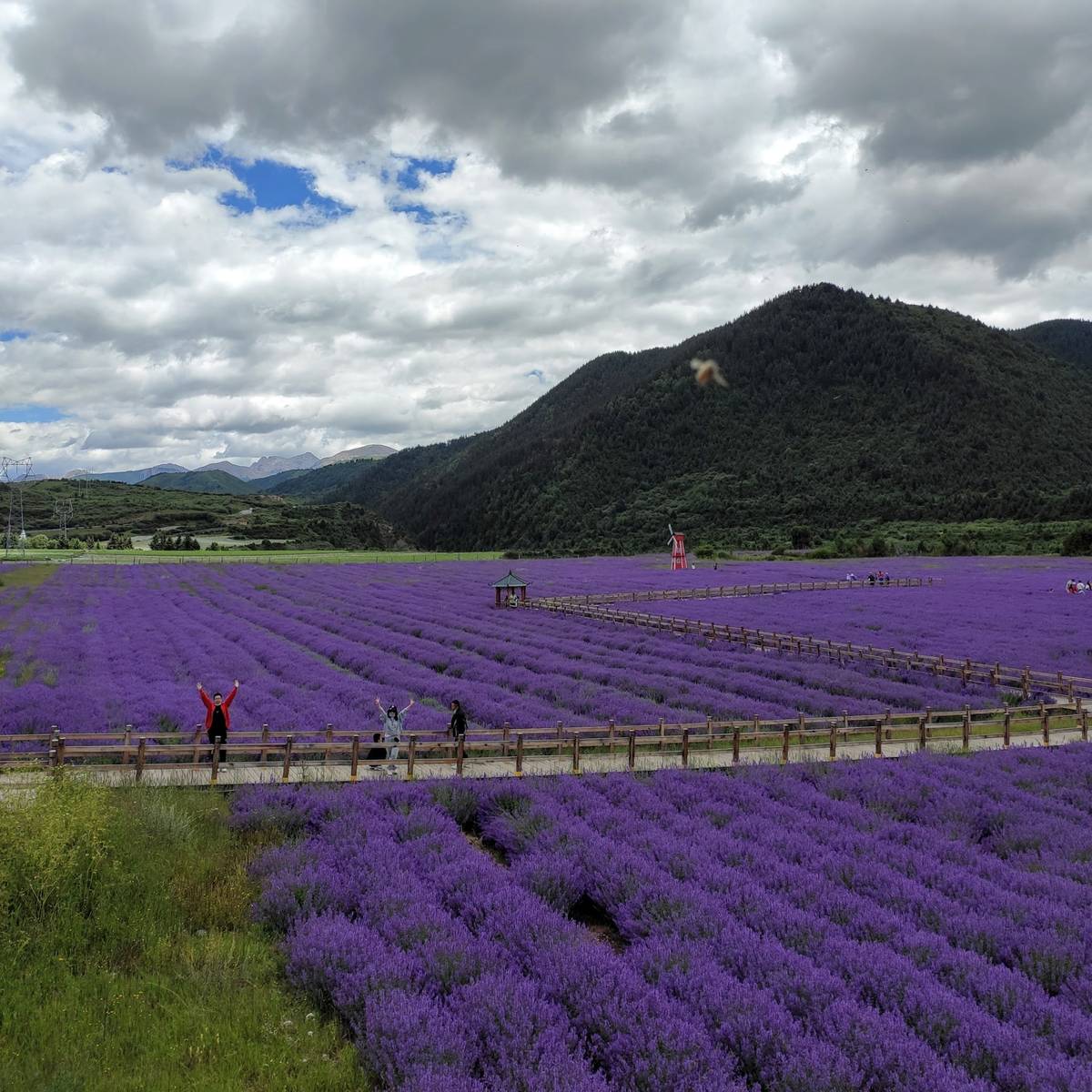 【视频】从浏览器渲染机制理解 Web 性能