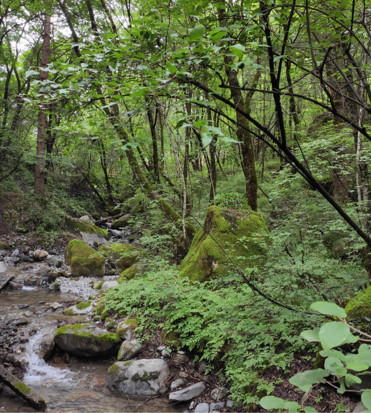 程序员副业闲聊：怎么领导一份副业