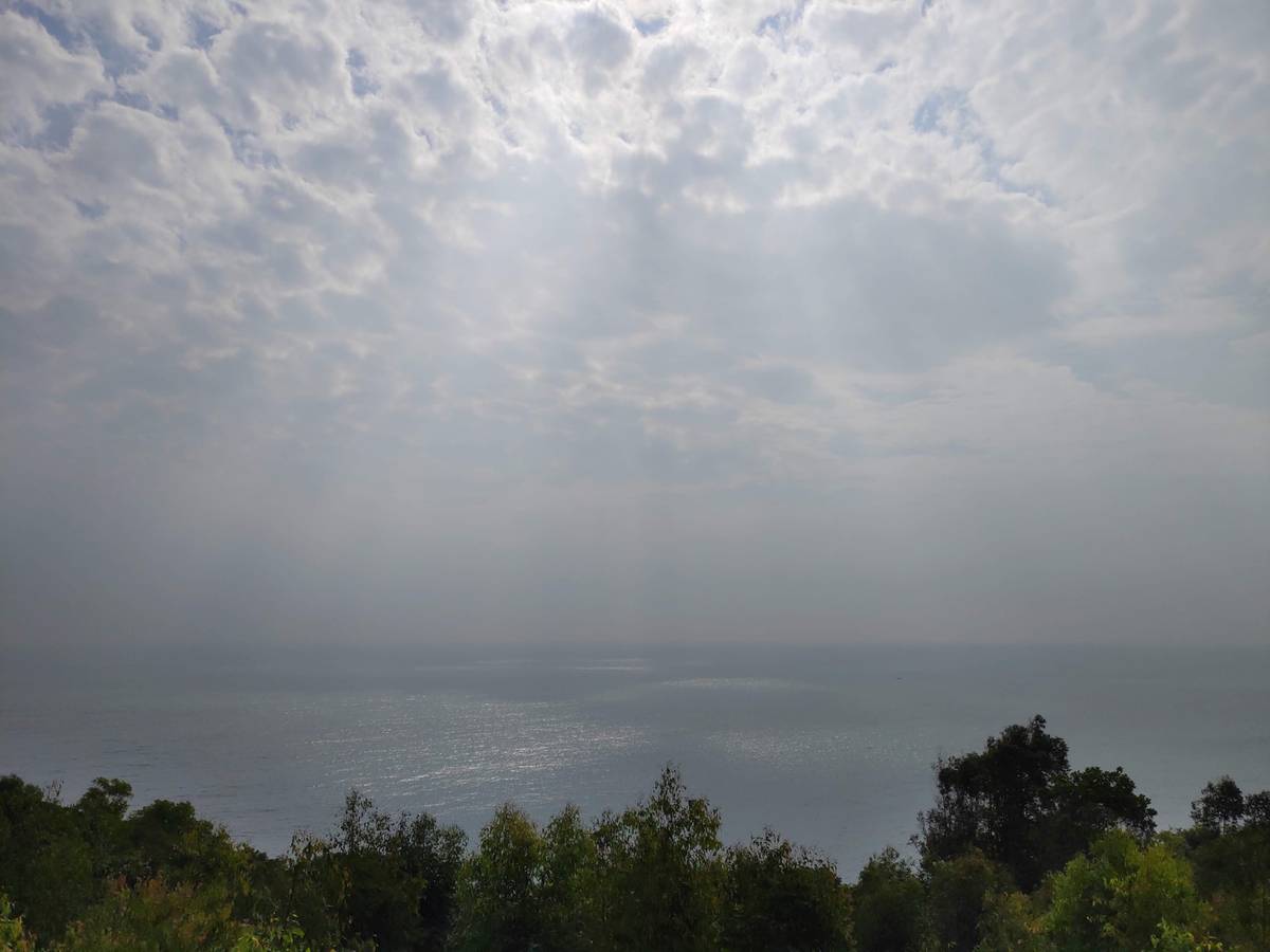 【视频】肉山的模拟面试系列（三）：在校生杨秋实同学