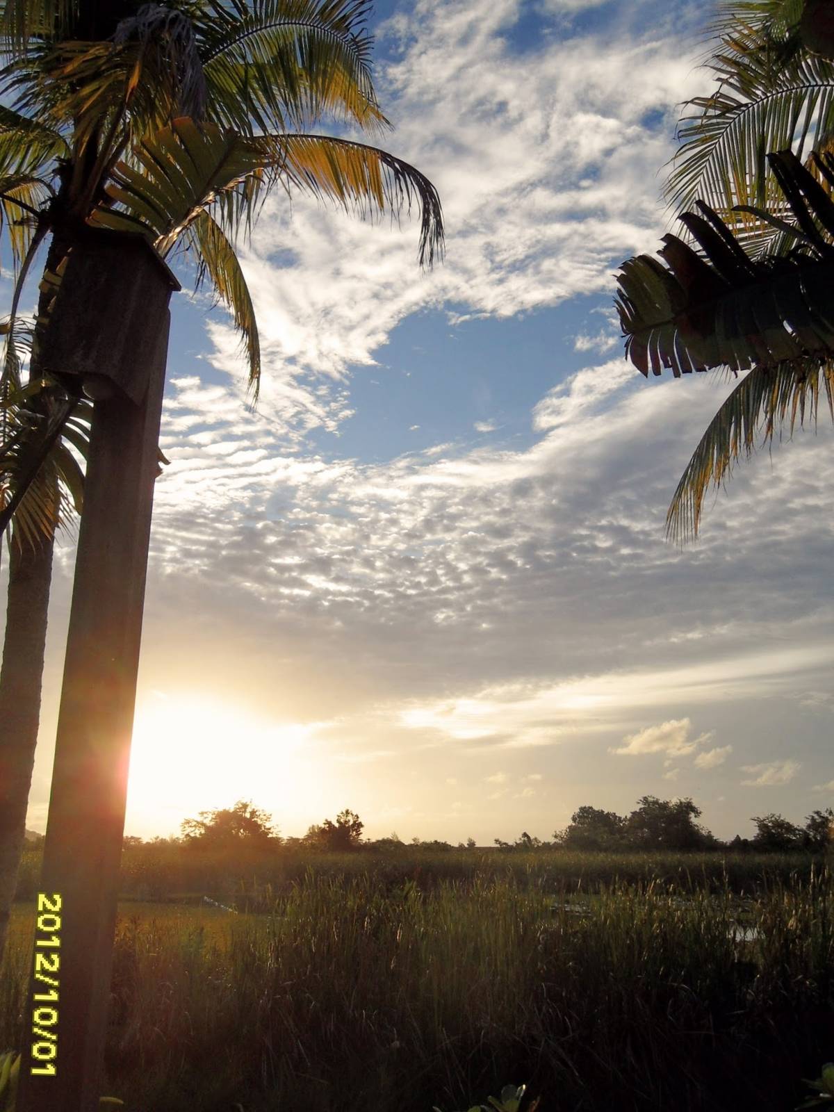 使用 Vercel Edge Function 访问 OpenAI API 的注意事项