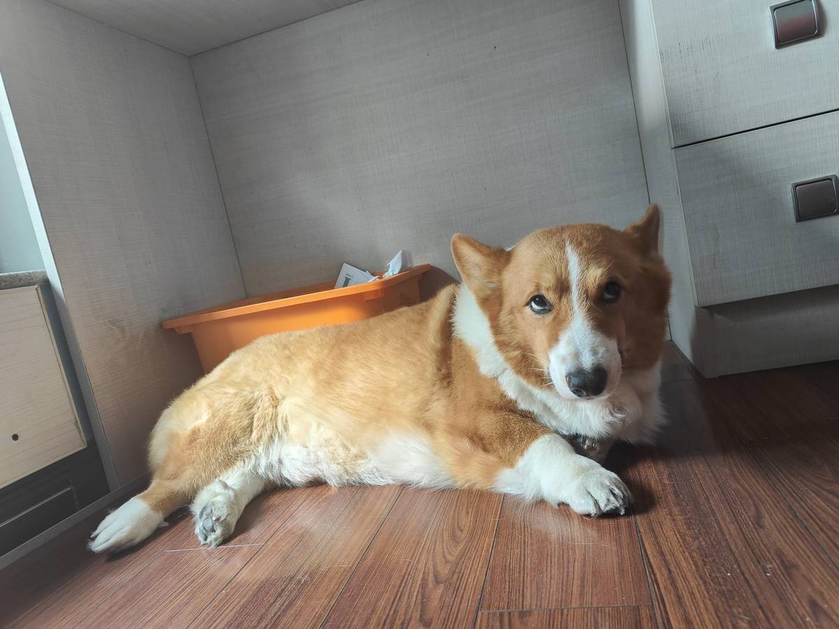 我的四月 AIGC Hackathon 参赛记