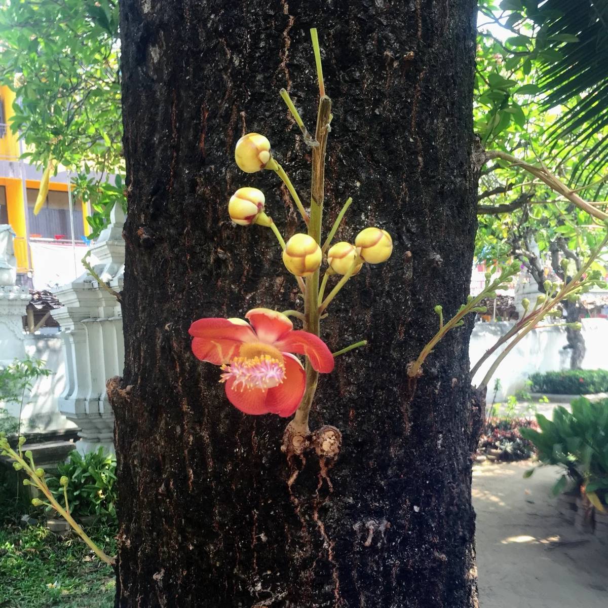 【视频】2024 浏览器扩展开发必备：CRXJS Vite Plugin