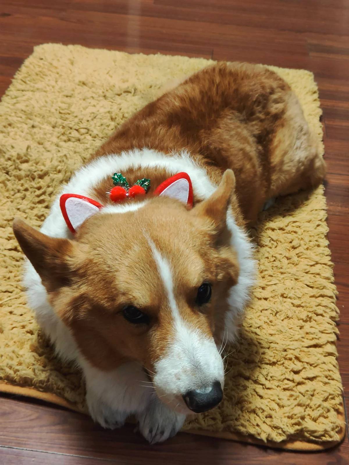 山穷水尽疑无路，柳暗花明又一村——告别 2023，迎接 2024