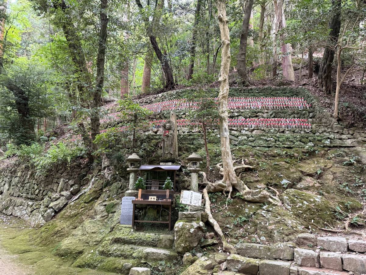 分享我维护代码质量的 Skill，给大家的 Vibe Coding 作品延年益寿