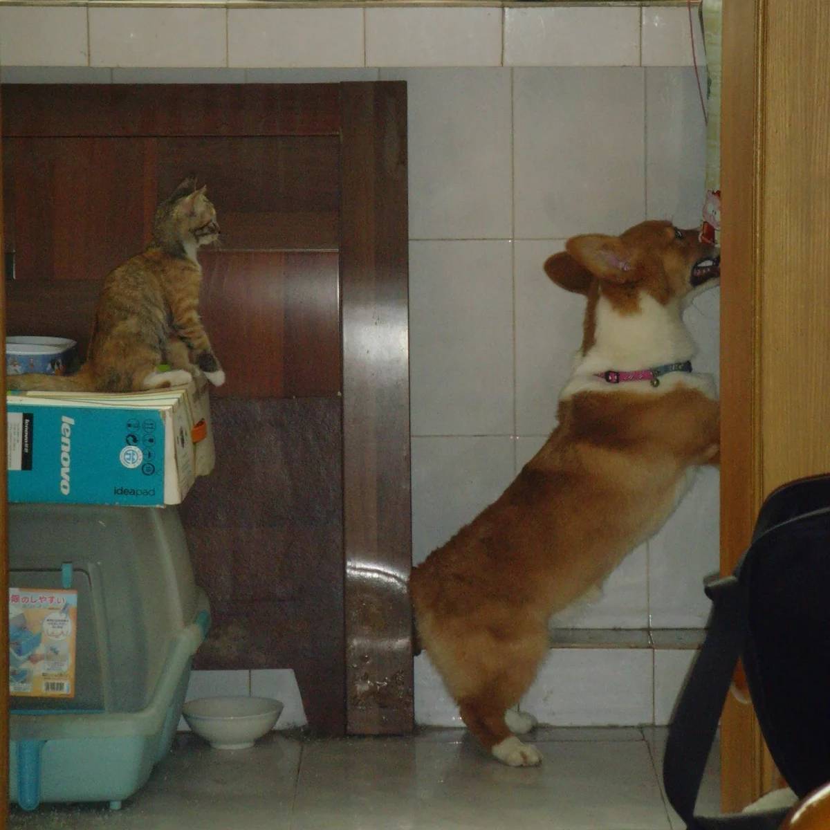 Vibe Coding 时代的极简密钥管理：我开源了一个基于 Cloudflare 的轻量级 KMS